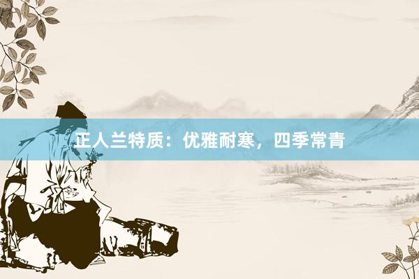 正人兰特质：优雅耐寒，四季常青