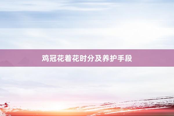 鸡冠花着花时分及养护手段