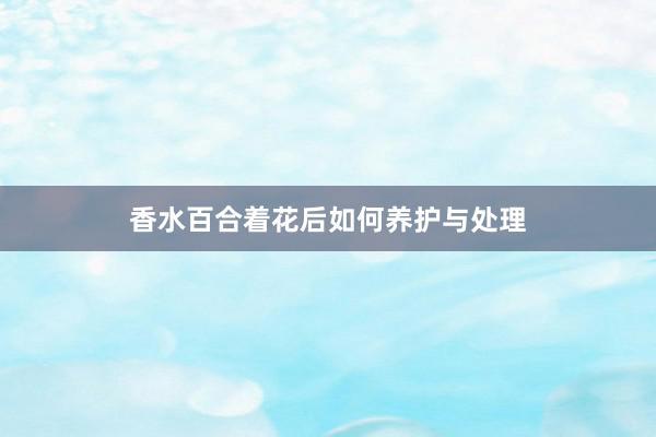 香水百合着花后如何养护与处理
