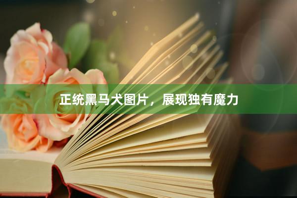 正统黑马犬图片，展现独有魔力