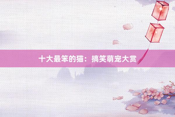 十大最笨的猫：搞笑萌宠大赏